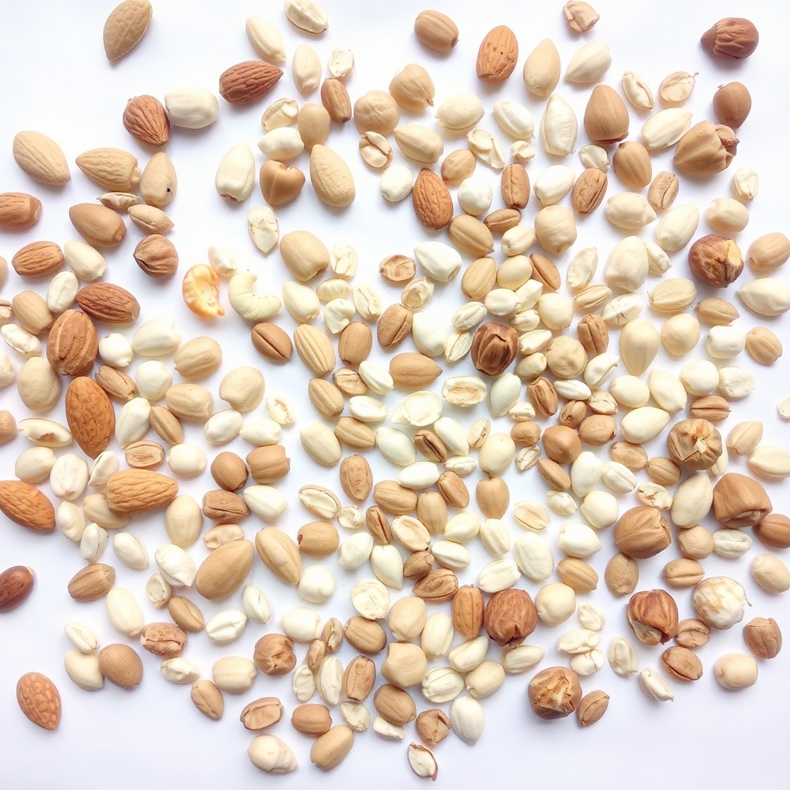 Hạt & Hạt giống