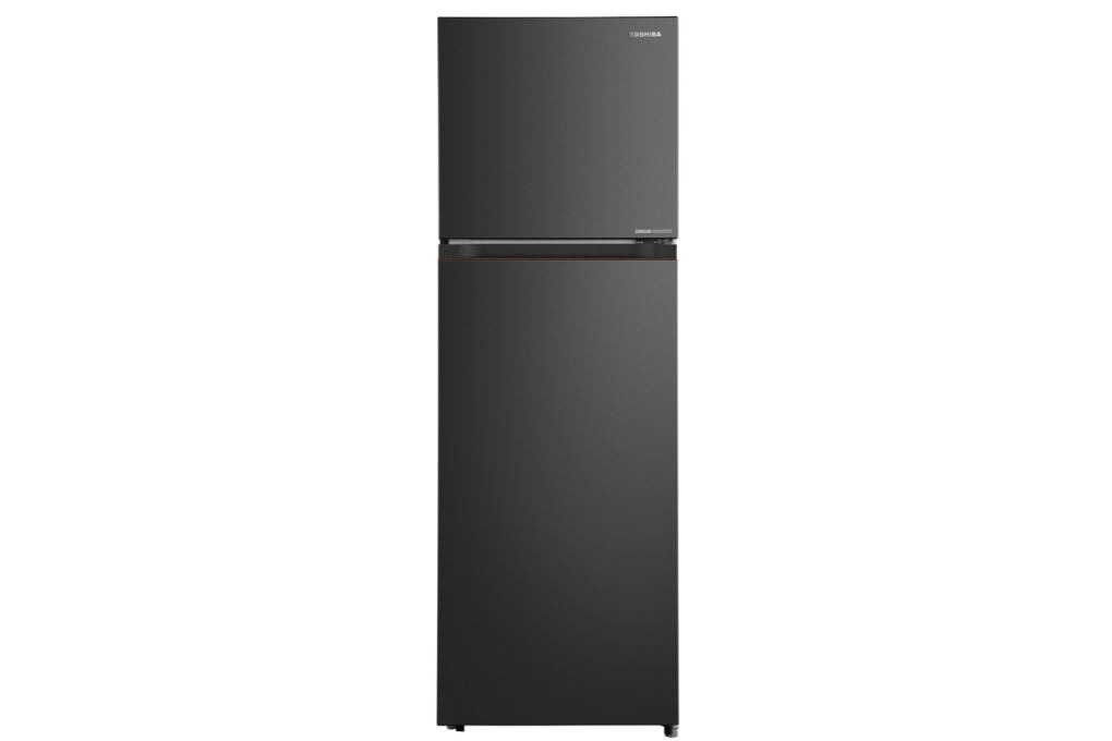 Tủ lạnh Toshiba Inverter 240 lít GR-RT310WE-PMV(68) Chính Hãng