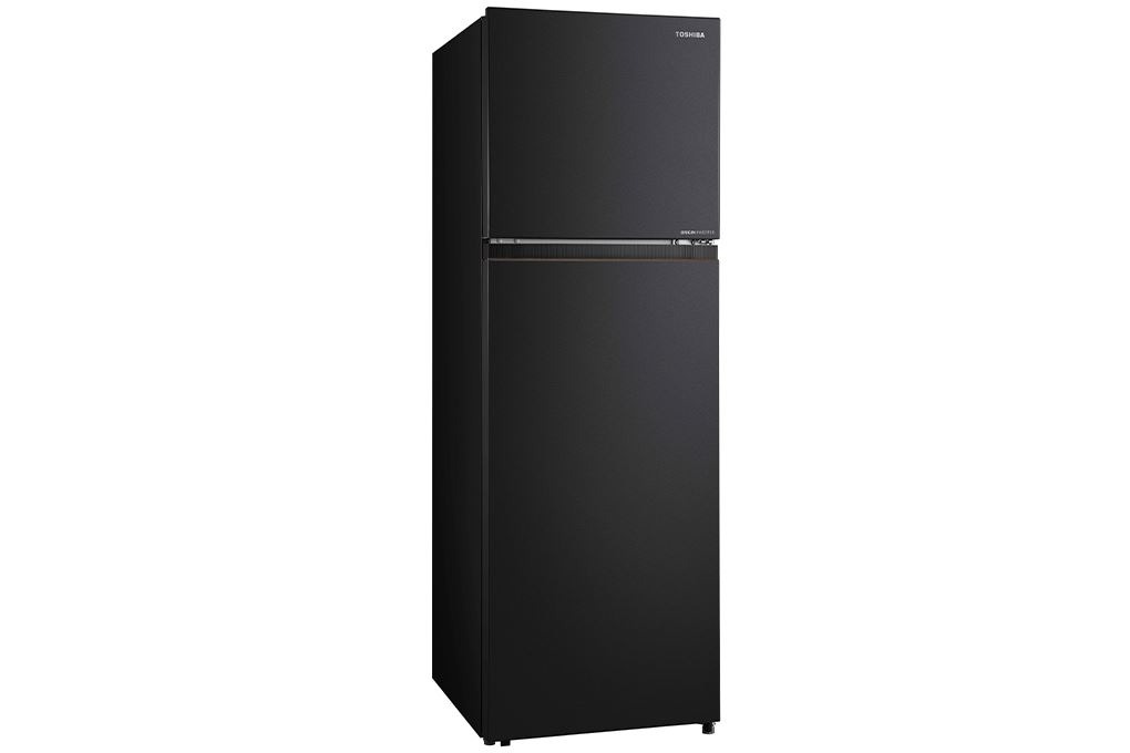 Tủ lạnh Toshiba Inverter 240 lít GR-RT310WE-PMV(68) Chính Hãng
