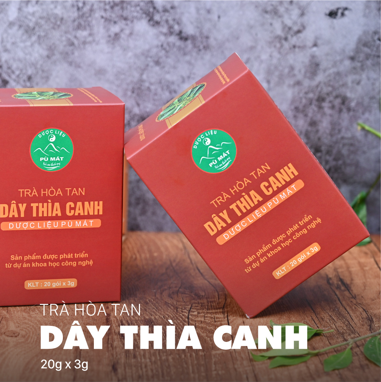 Trà hòa tan dây thìa canh Pù Mát