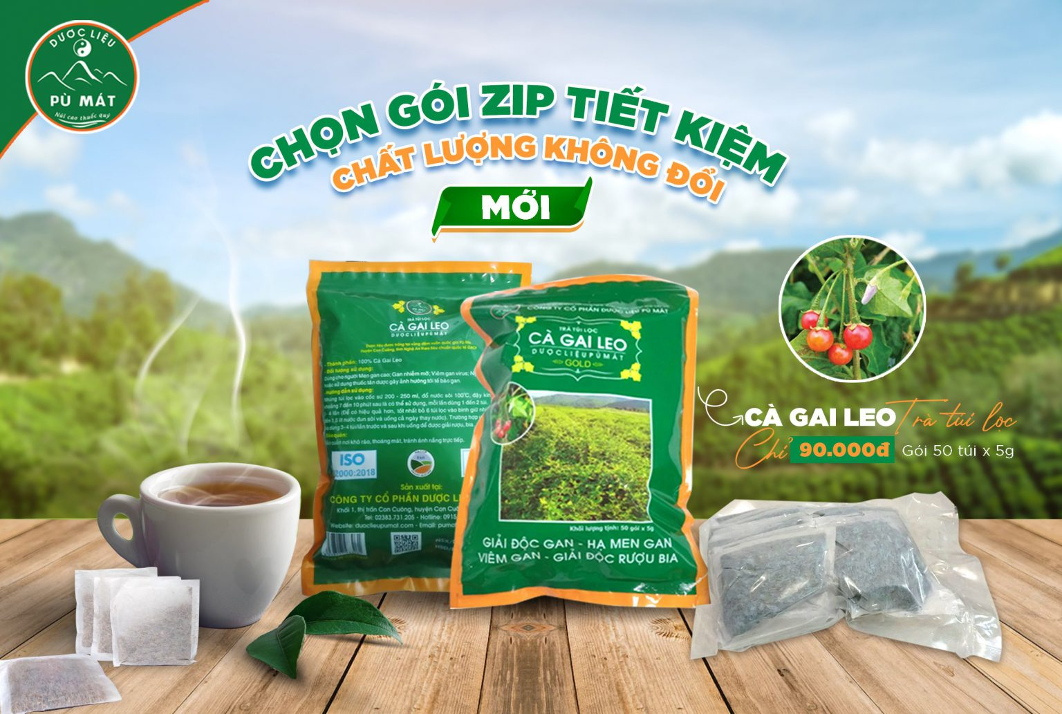 Trà Túi Lọc Cà Gai Leo – Gói ZIP 250g