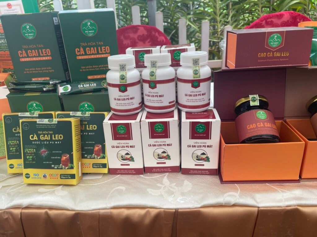 VIÊN HOÀN CÀ GAI LEO PÙ MÁT