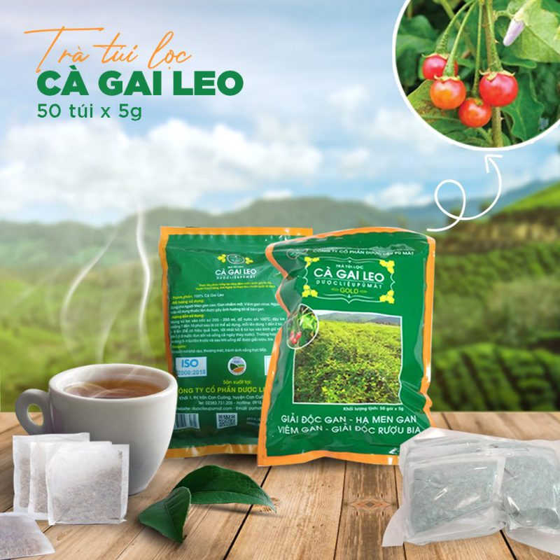 Trà Túi Lọc Cà Gai Leo – Gói ZIP 250g